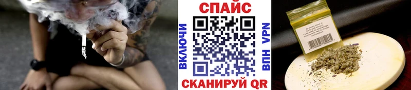 БУТИРАТ буратино  Купить где  Кедровый 