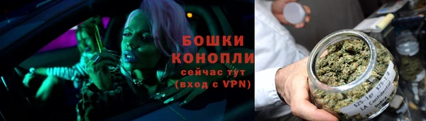 стаф Липки