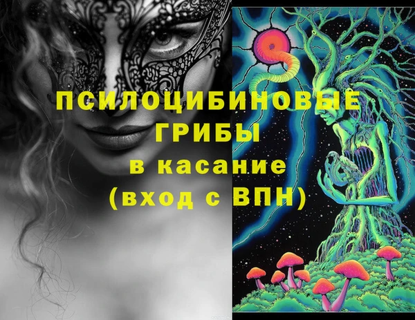 ГАЛЛЮЦИНОГЕННЫЕ ГРИБЫ Лагань