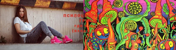 стаф Липки