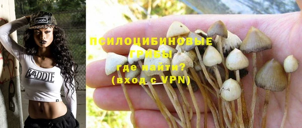 стаф Лабытнанги
